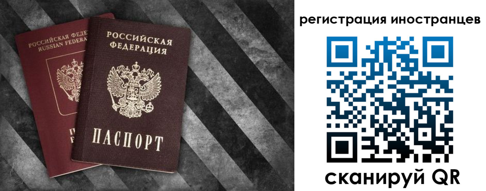 прописка для школы в Камешково